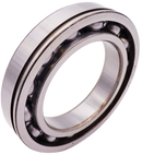 Replacement Bearings